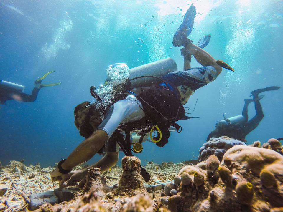 TRACC Planting coral on a reef is so much fun.
