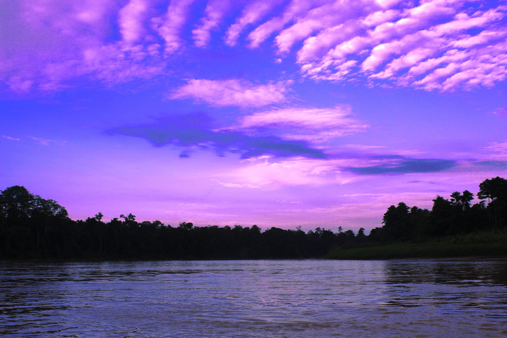 Flickr/ marco camarota Scenic Kinabatangan River.