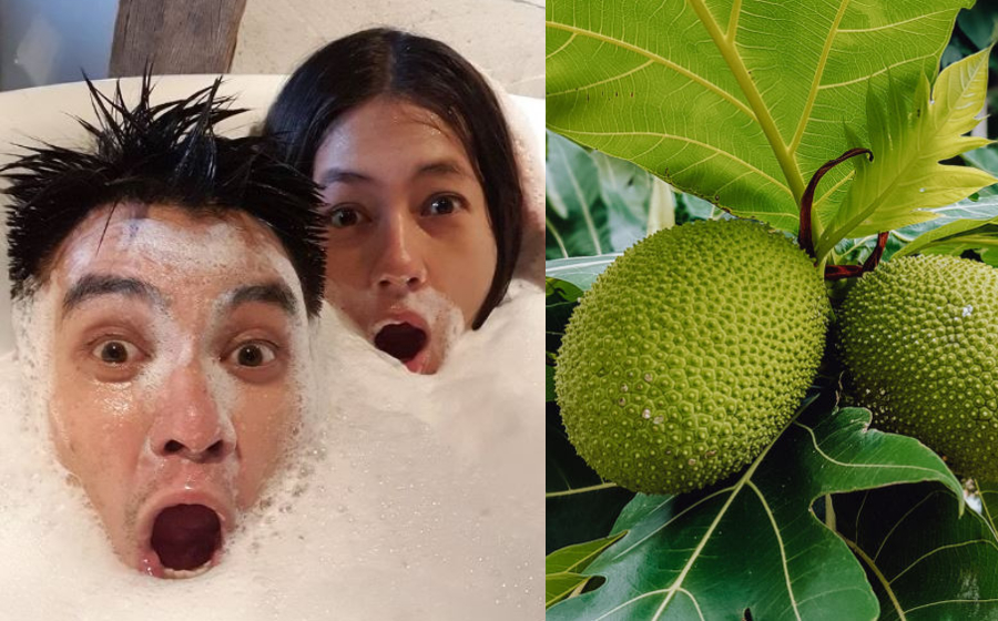 sukun-baim-header.jpg