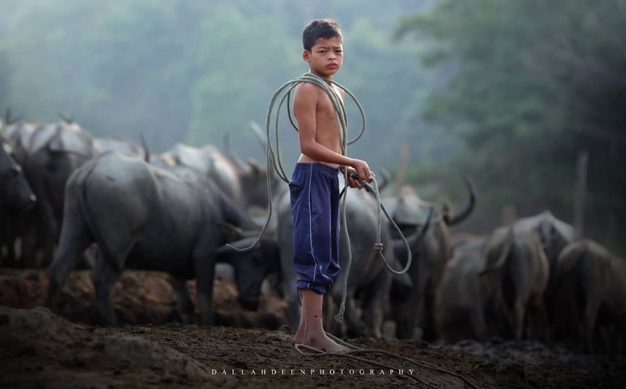 syukorkhamis.jpg
