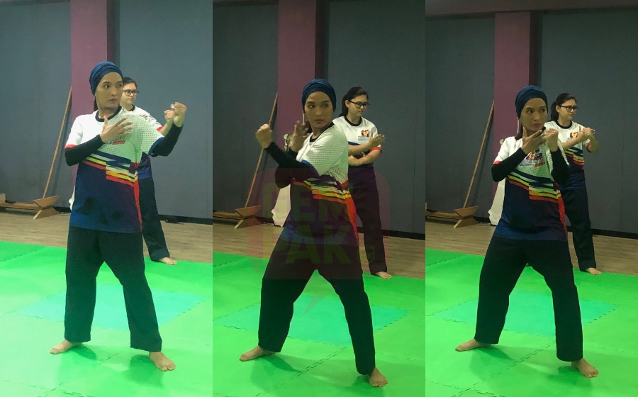 vee_silat1.jpg