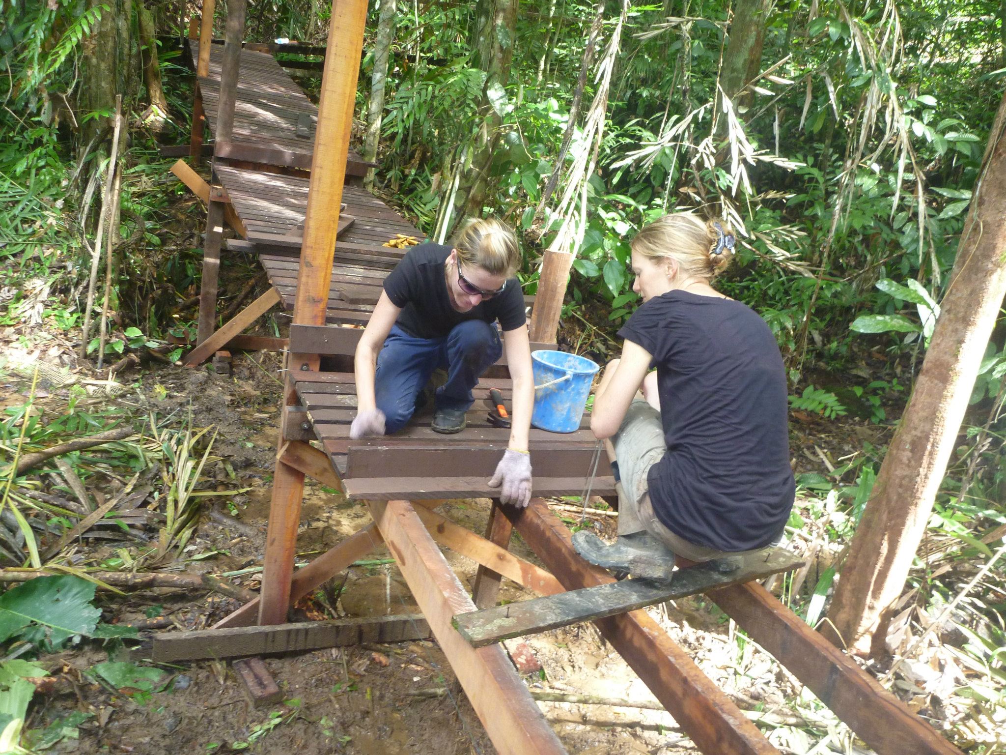 Facebook/ Orangutan Project Volunteers building boardwalks