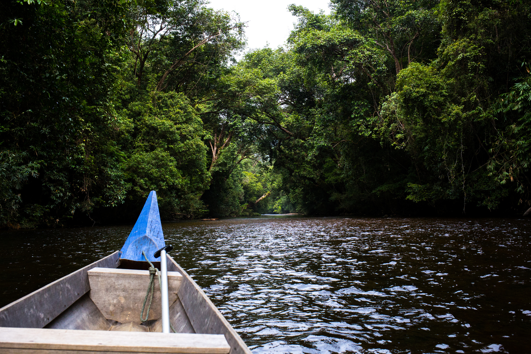 Flickr/ David You'll need to hop onto a boat to reach Taman Negara.