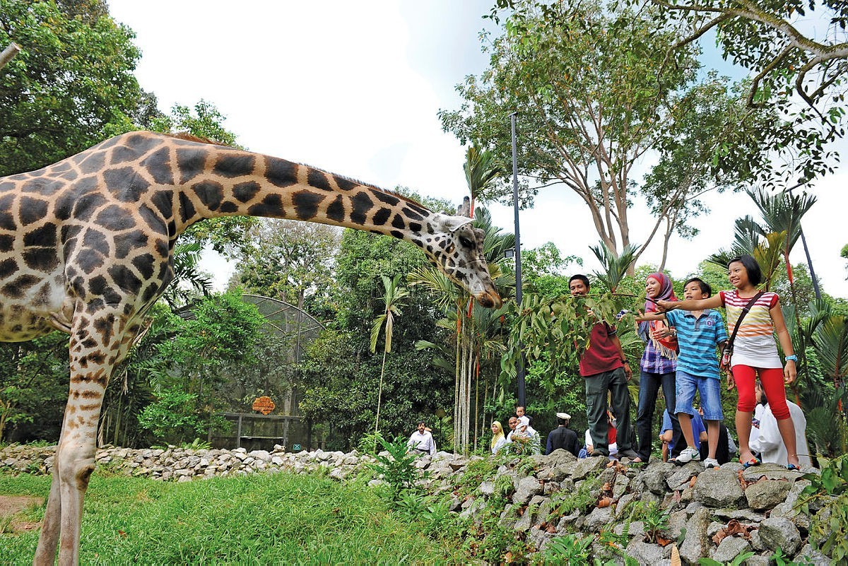 Now's the time to visit Zoo Melaka.