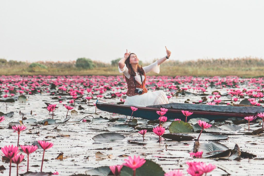 Red lotuses everywhere.