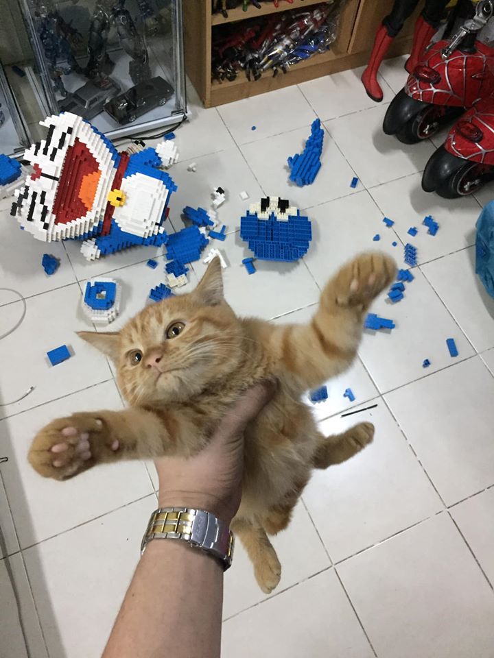 Facebook/ภูมิมัย พรทอง Sorry not sorry.
