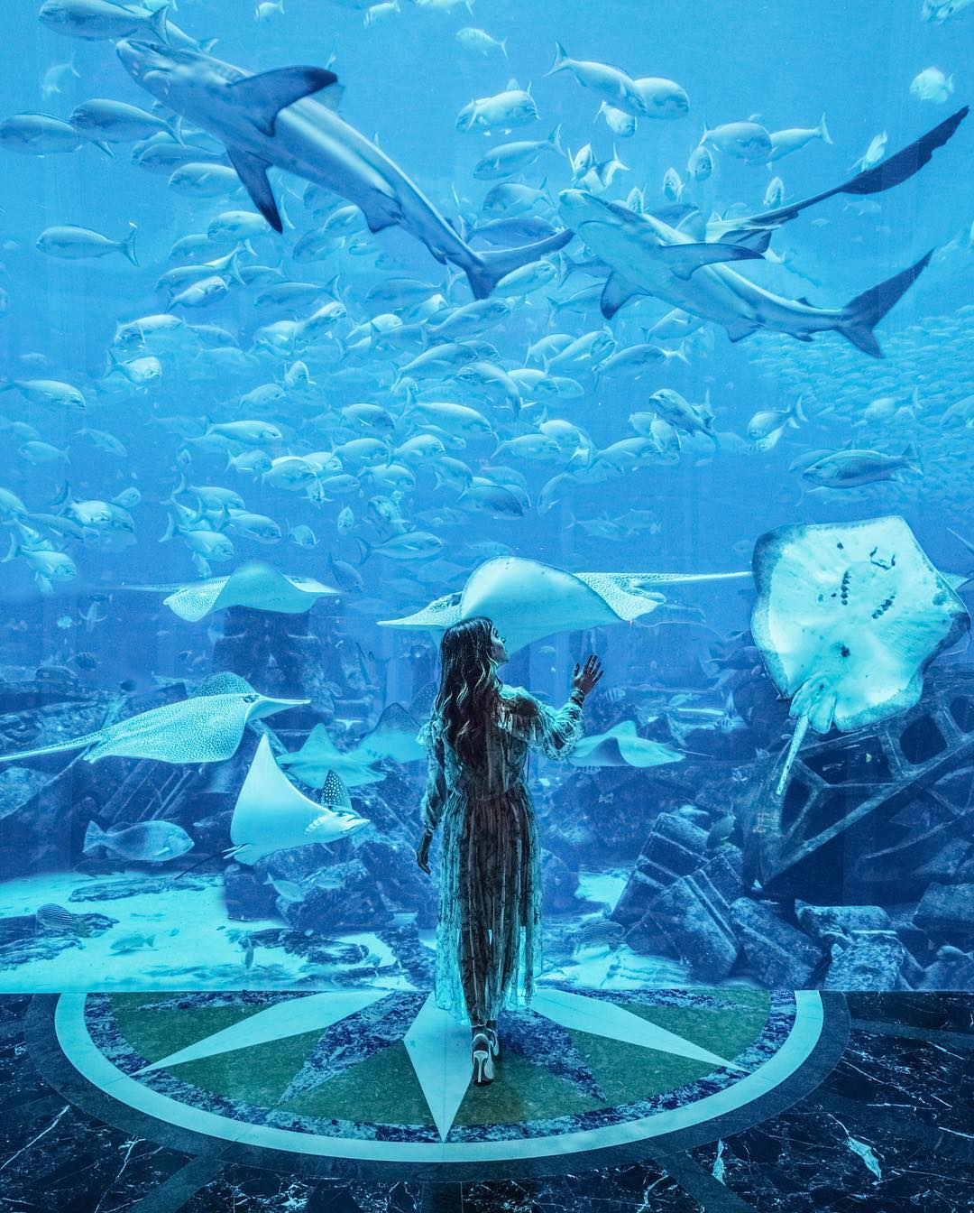 Instagram/amelialiana Swimming with the fishies.