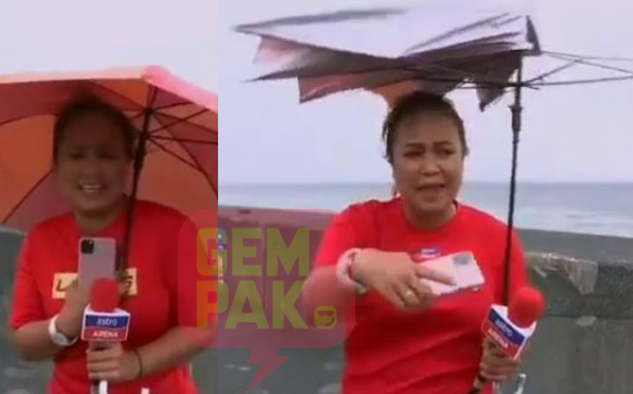 dfina_1.jpg