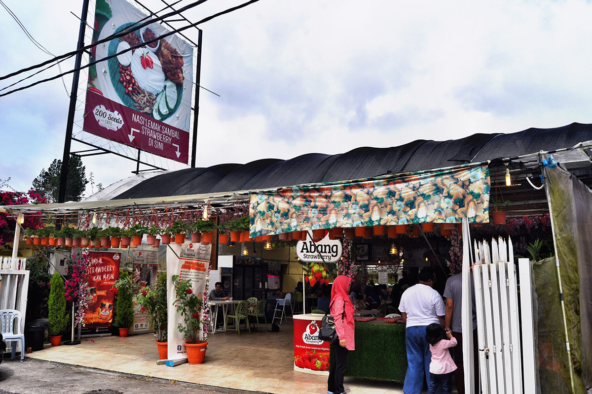 Kafe berkonsep taman.