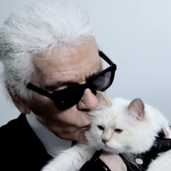 Karl saw Choupette more than just a cat, she's her life companion.