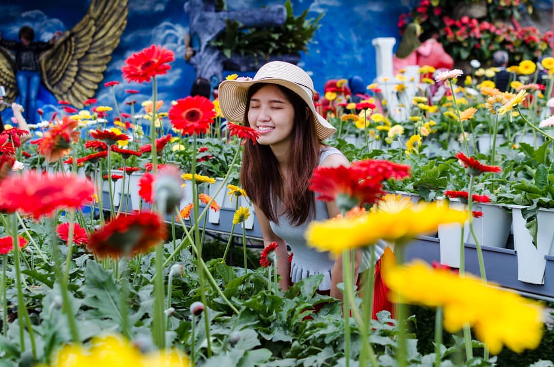 Bunga lain juga ada.