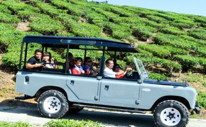 Safari mendekati alam semulajadi.