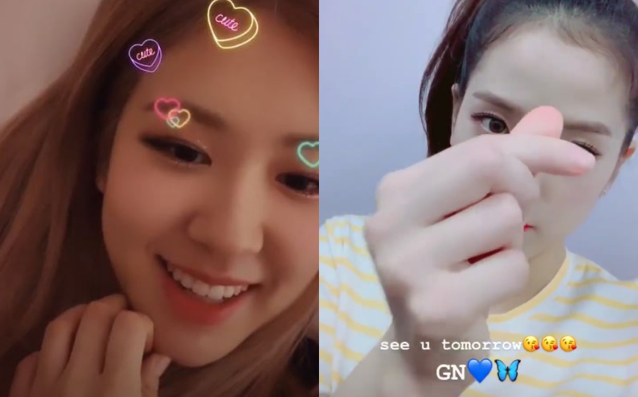 jisoo-rose.jpg