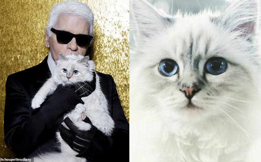 karl-choupette-header.jpg