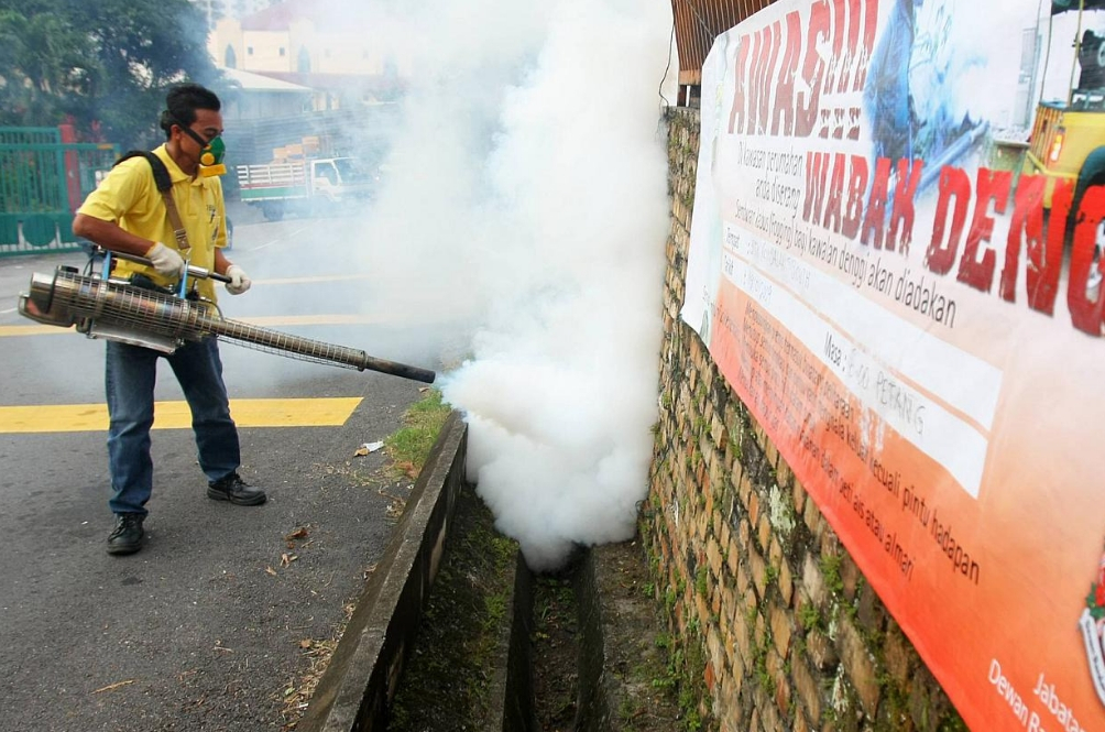 main-dengue.jpg