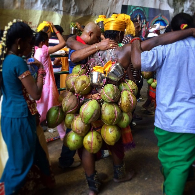 Coconuts are also hung.