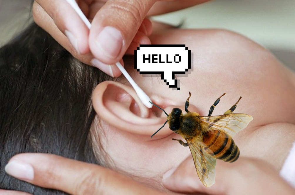 bee-(1).jpg