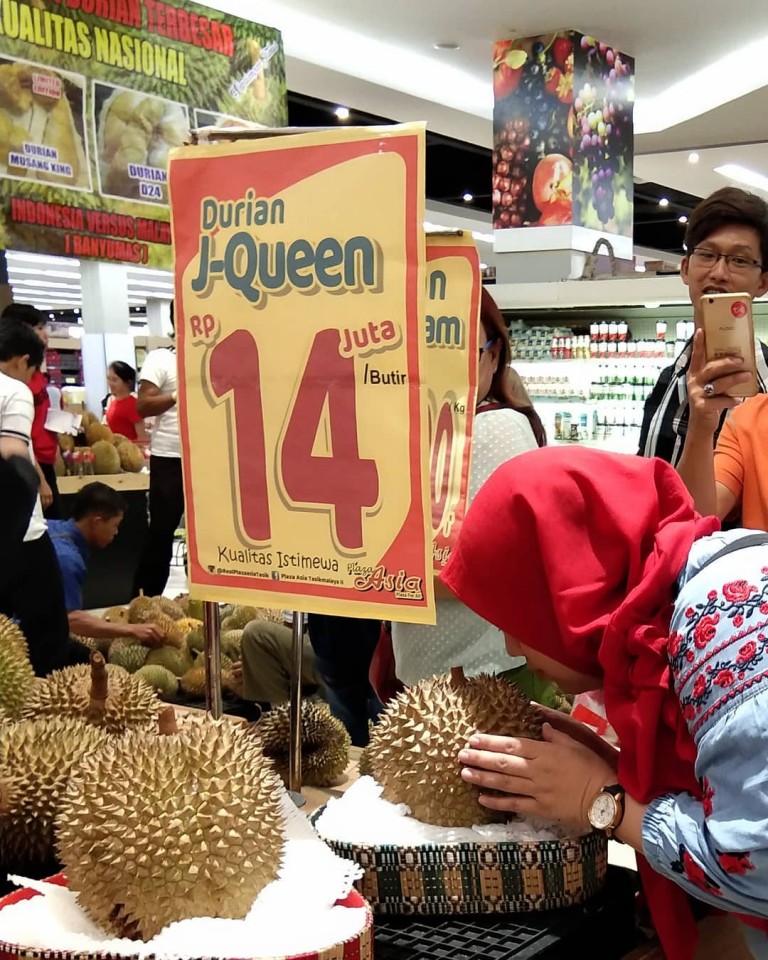 Durian J-Queen.