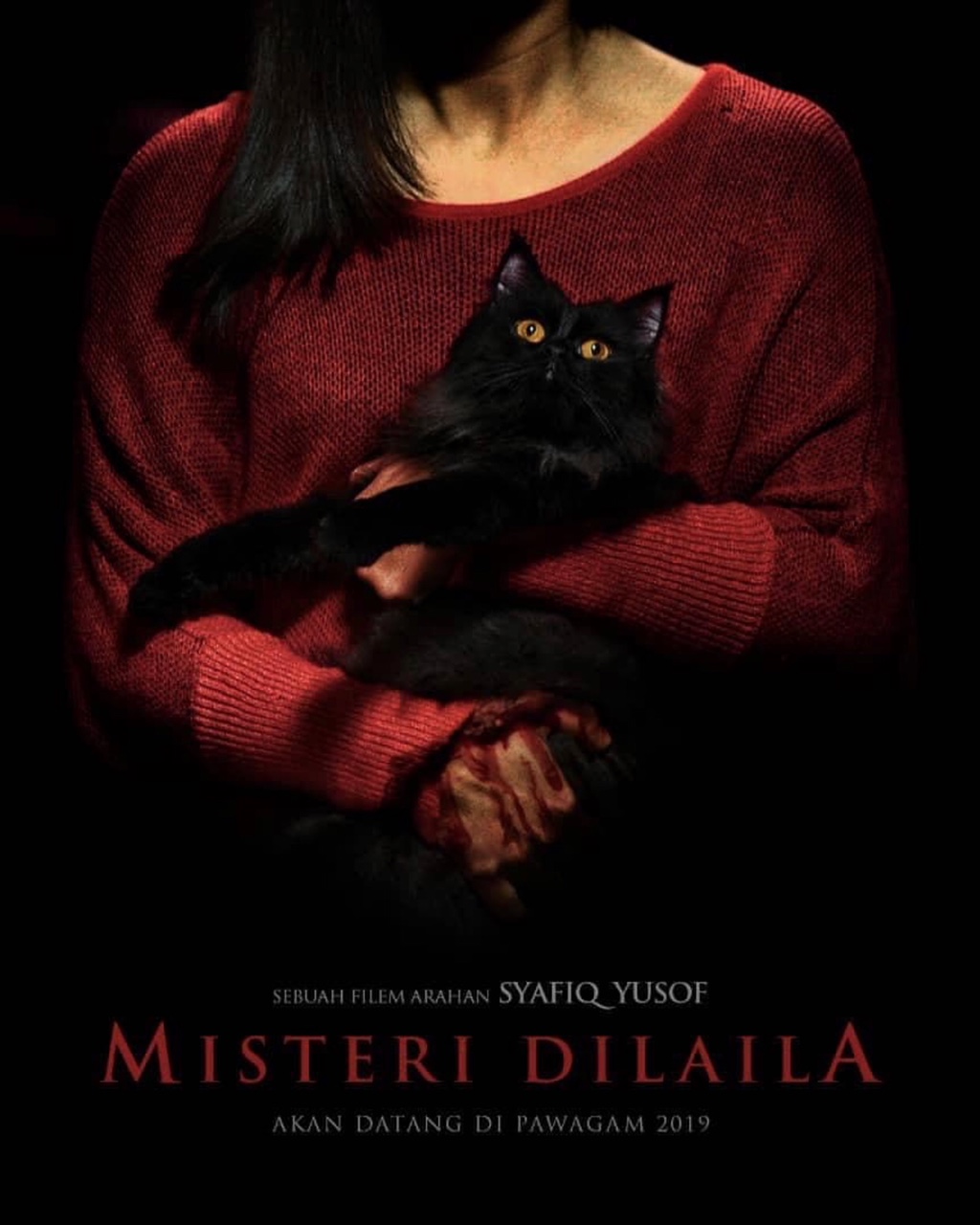 Poster filem Misteri Dilaila.