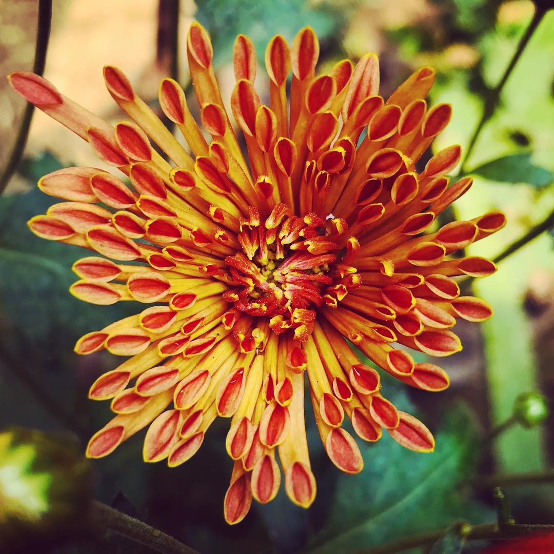 Or play around with your macro skills.