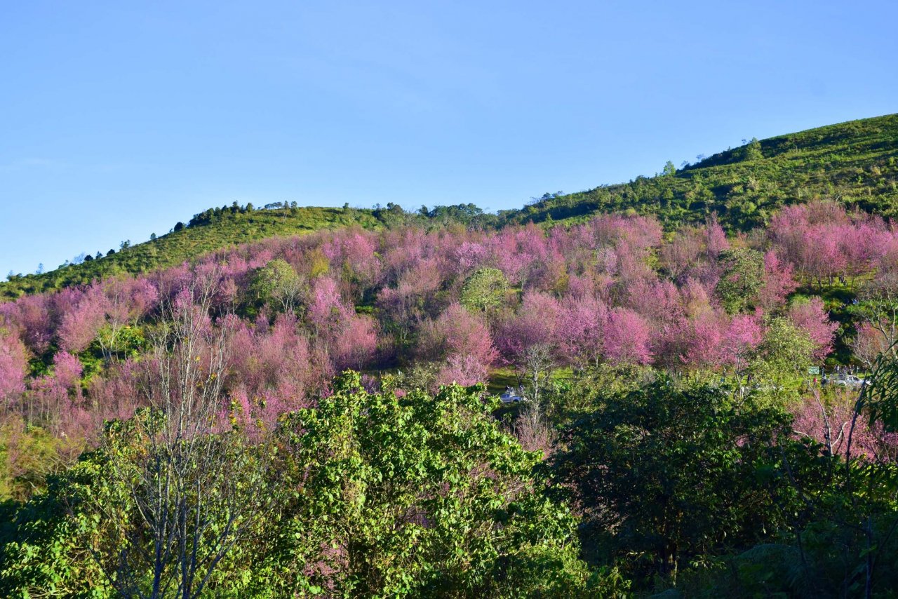 Such a breath-taking view!