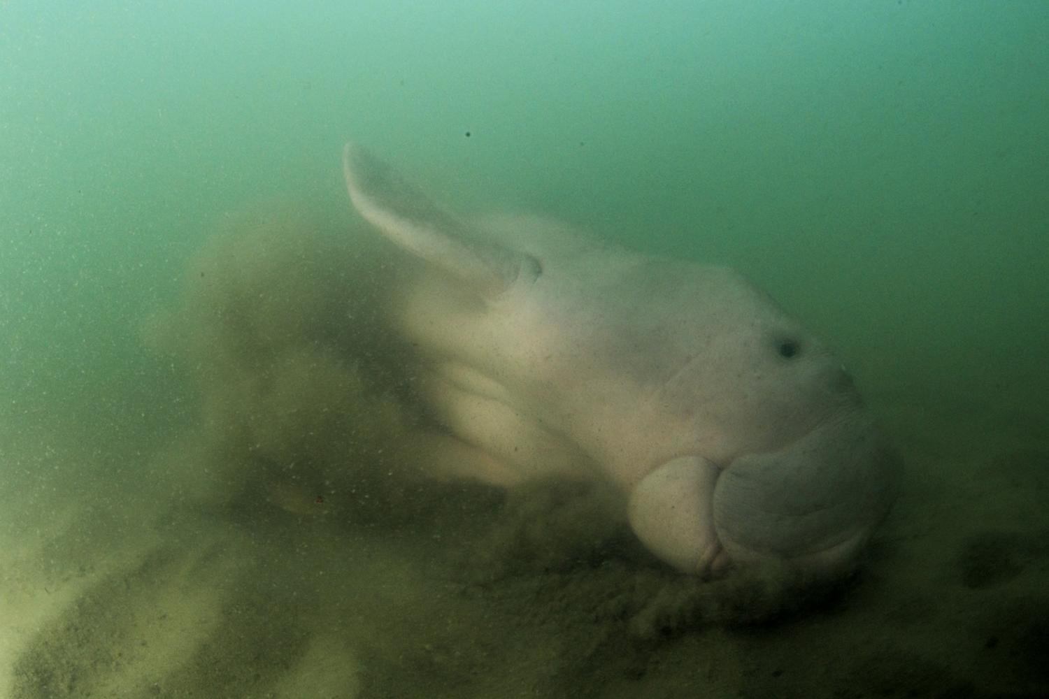 Say hello to Mariam, guys!