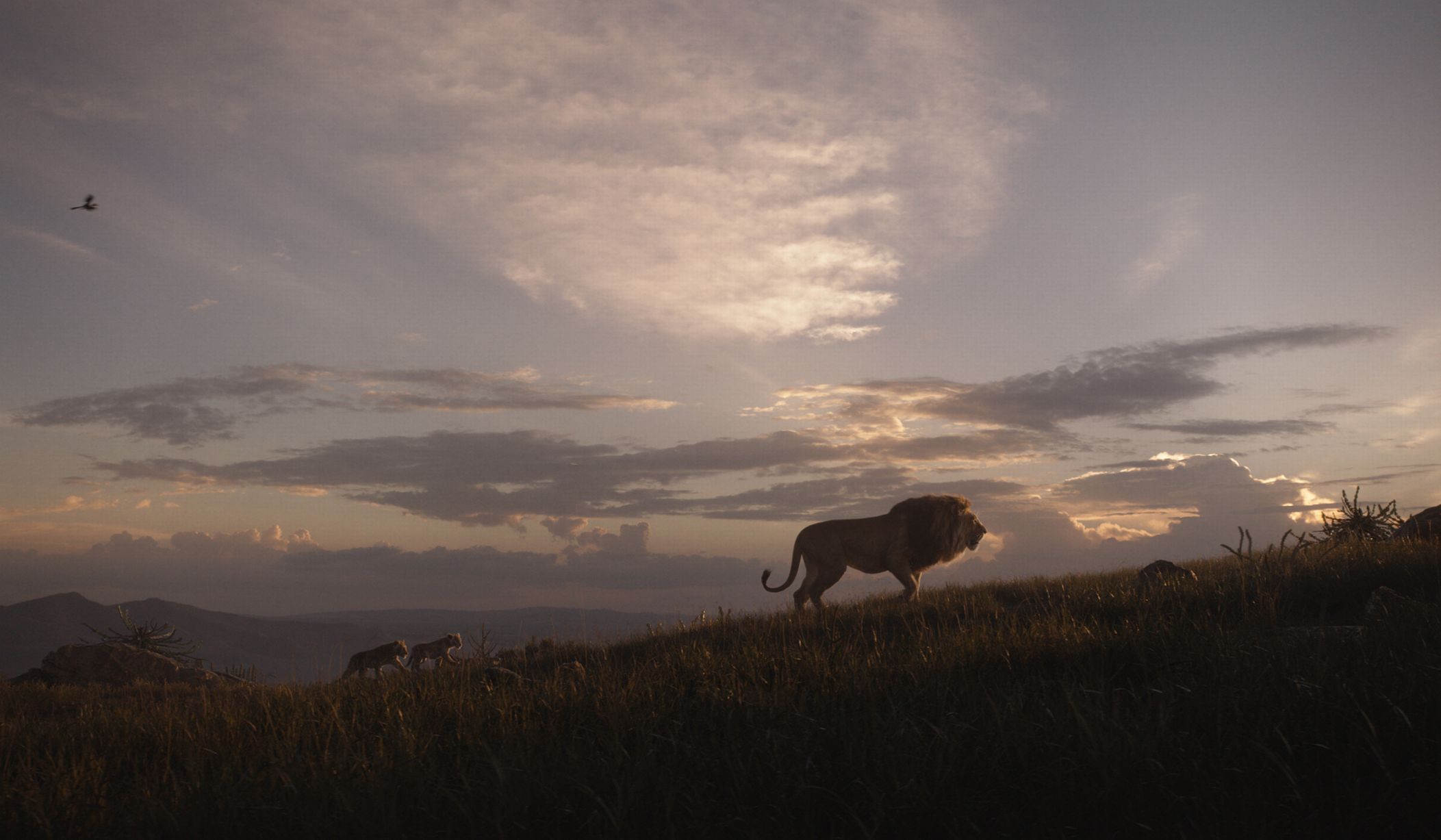 The sights and sounds of Africa are seen throughout the film.