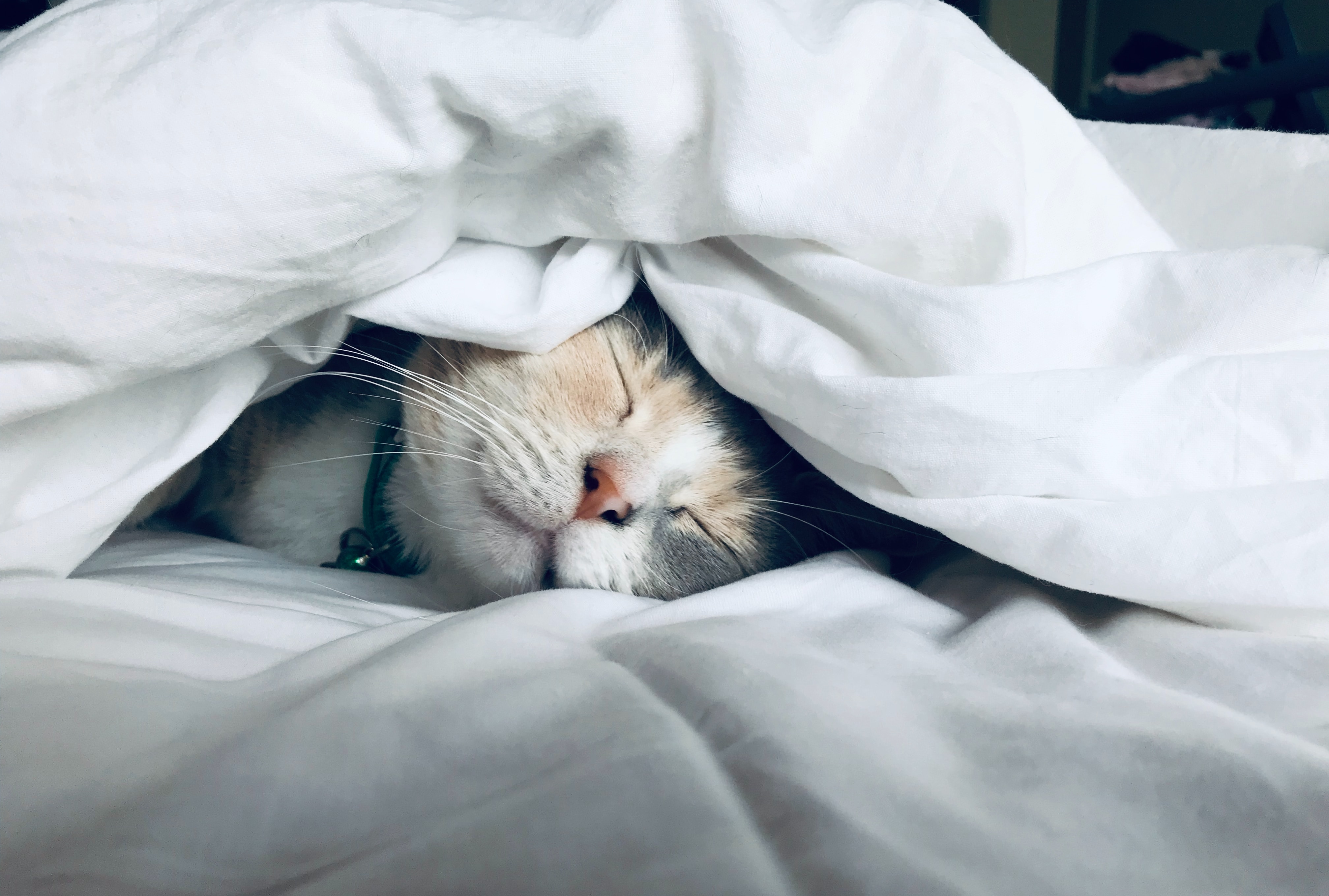 So cosy