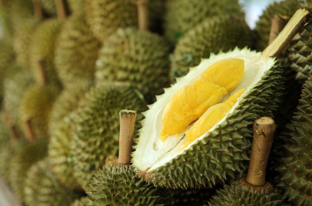main-durian.jpg