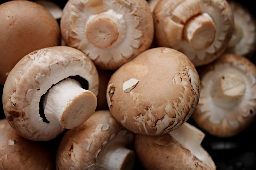 mushrooms-2690529_1920.jpg