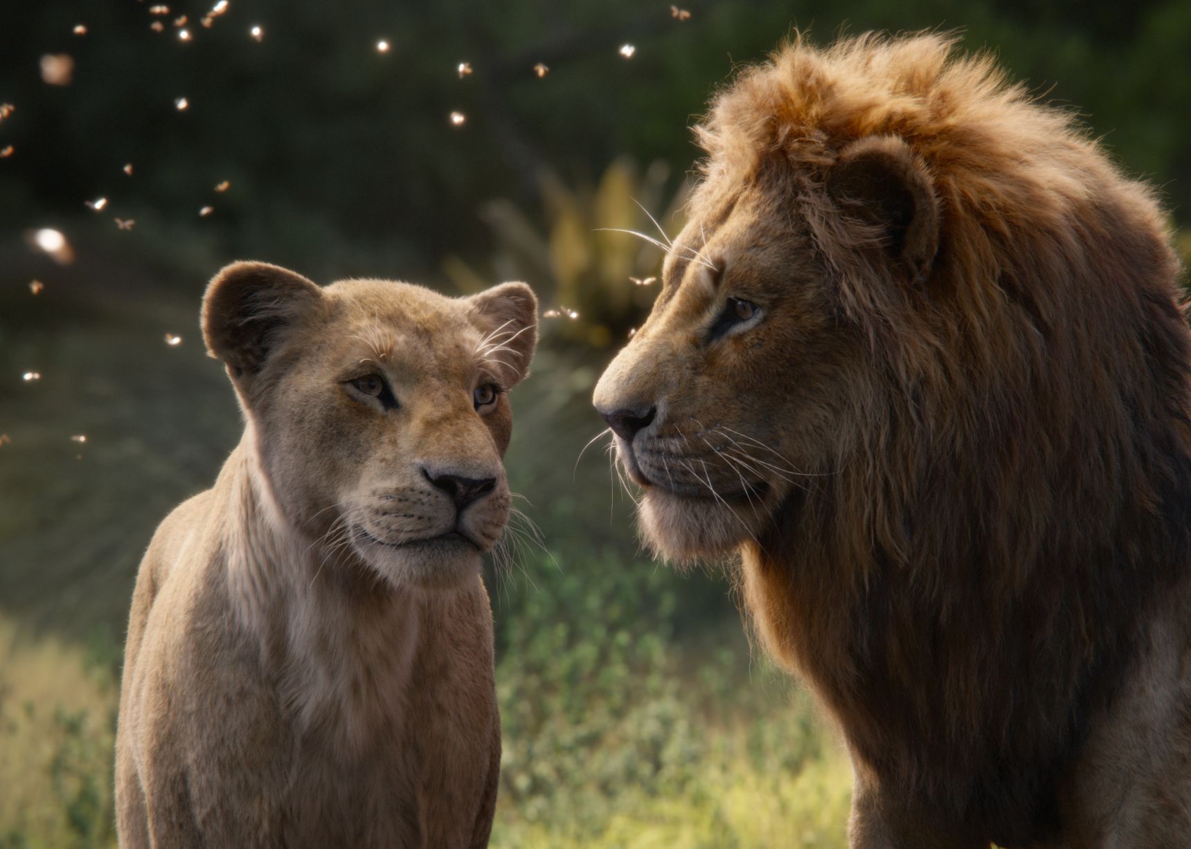 Disney The love story between Nala and Simba.