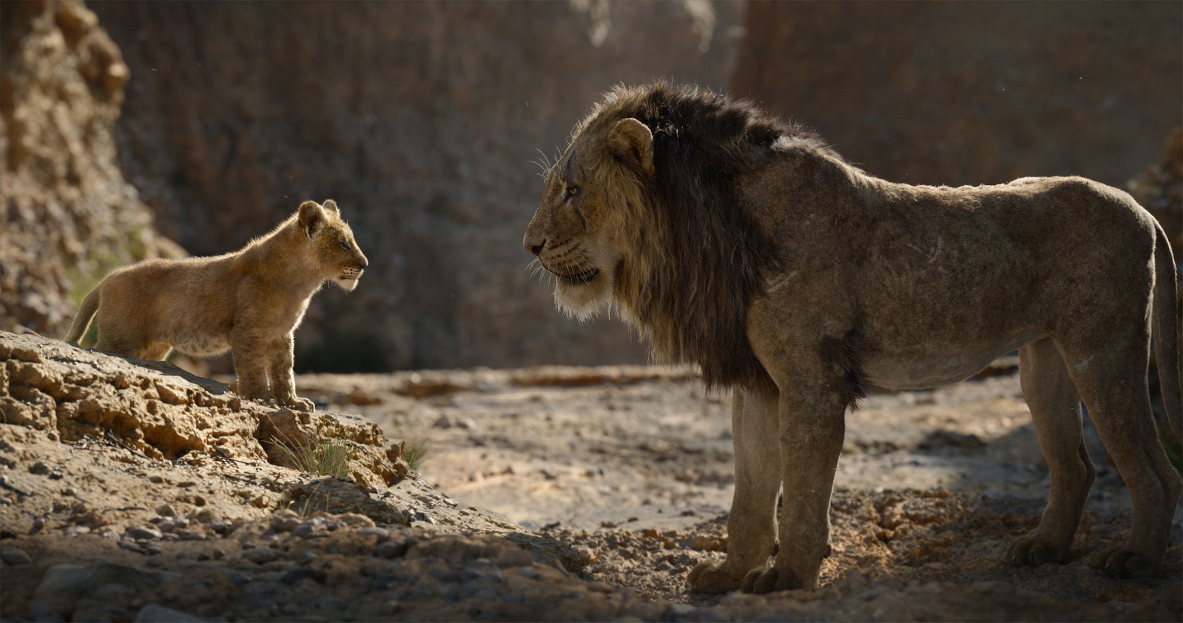 Disney Young Simba goes face-to-face with Scar.