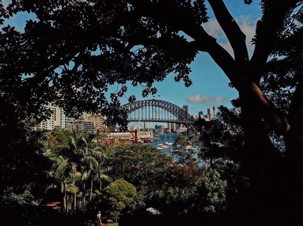 The Sydney Harbour Bridge peeking through the trees.