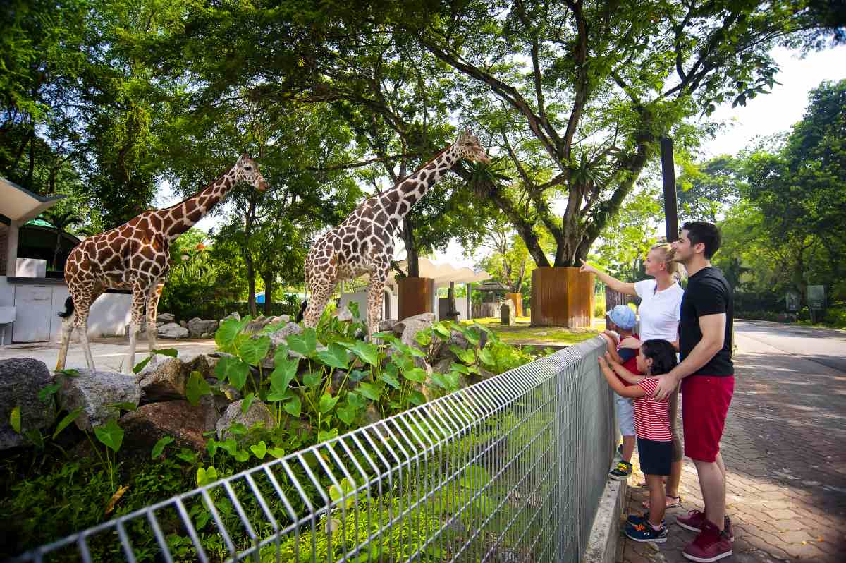 Zoo Negara needs more visitors.