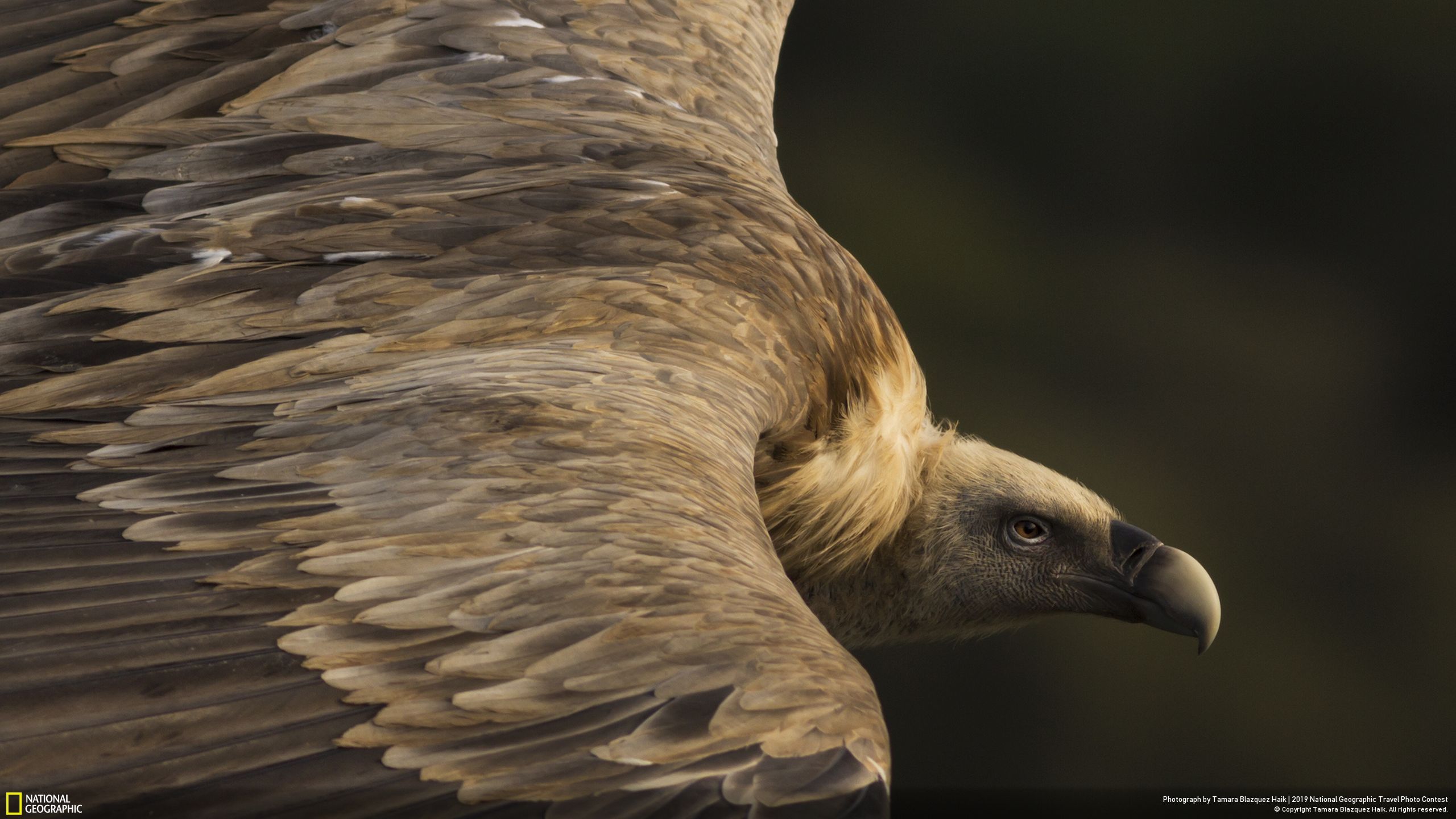 National Geographic