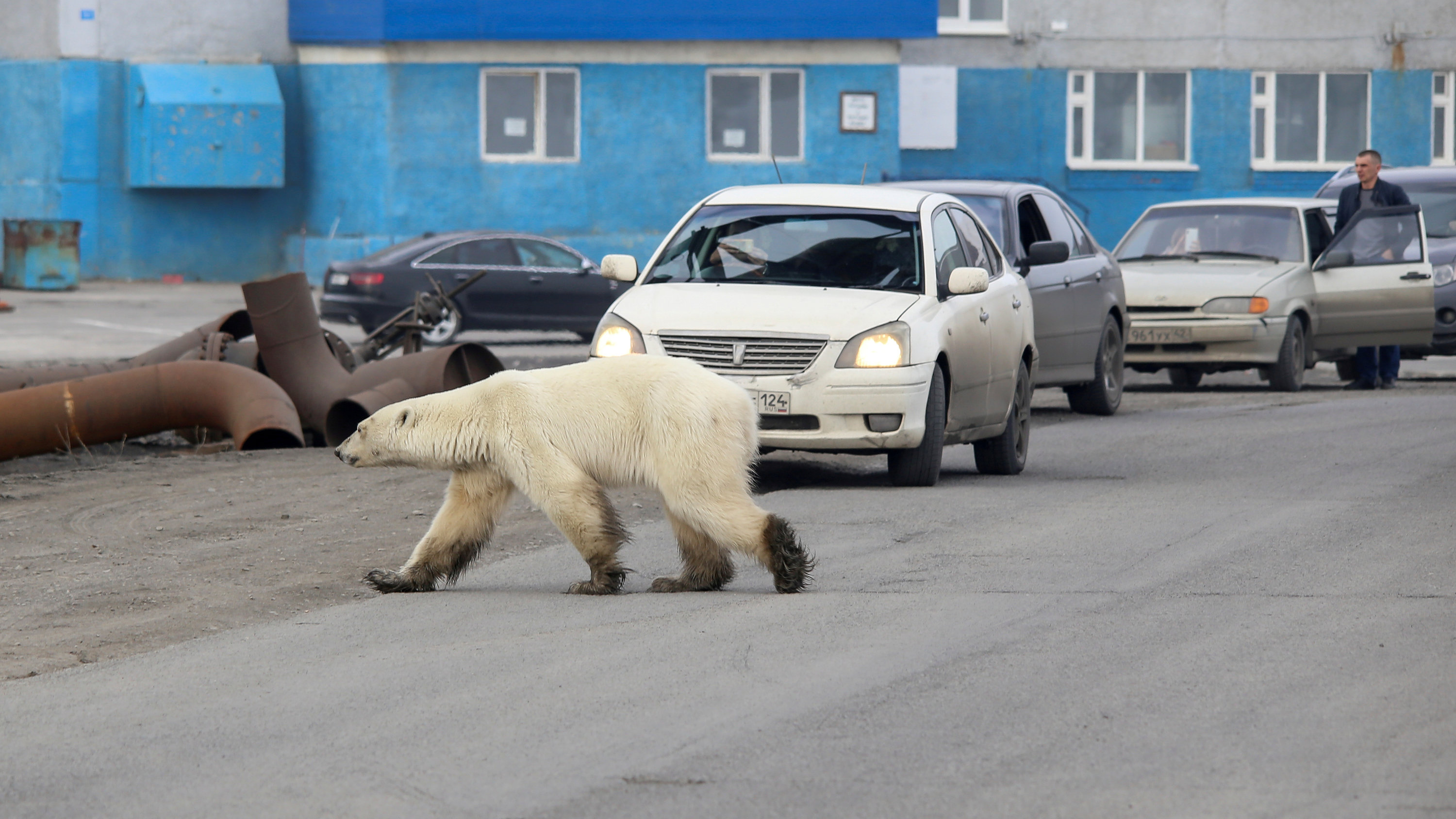 This could be a sign of global warming.