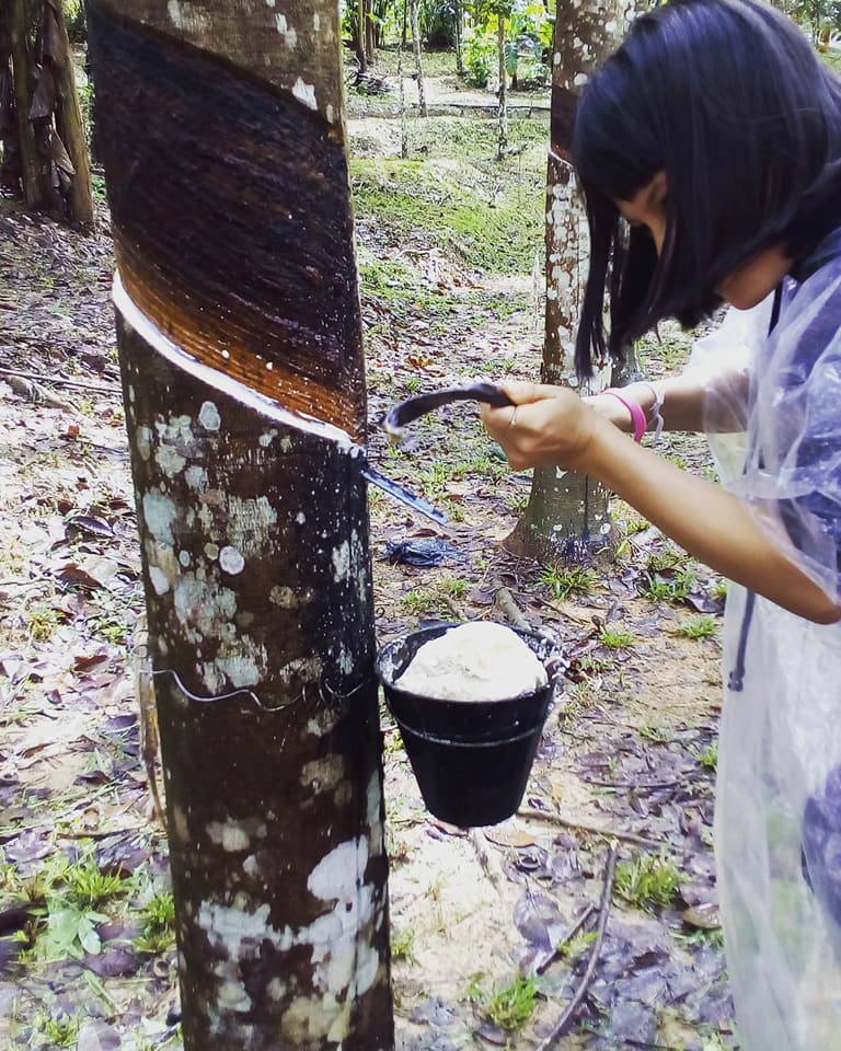 Labu Kubong Homestay Facebook