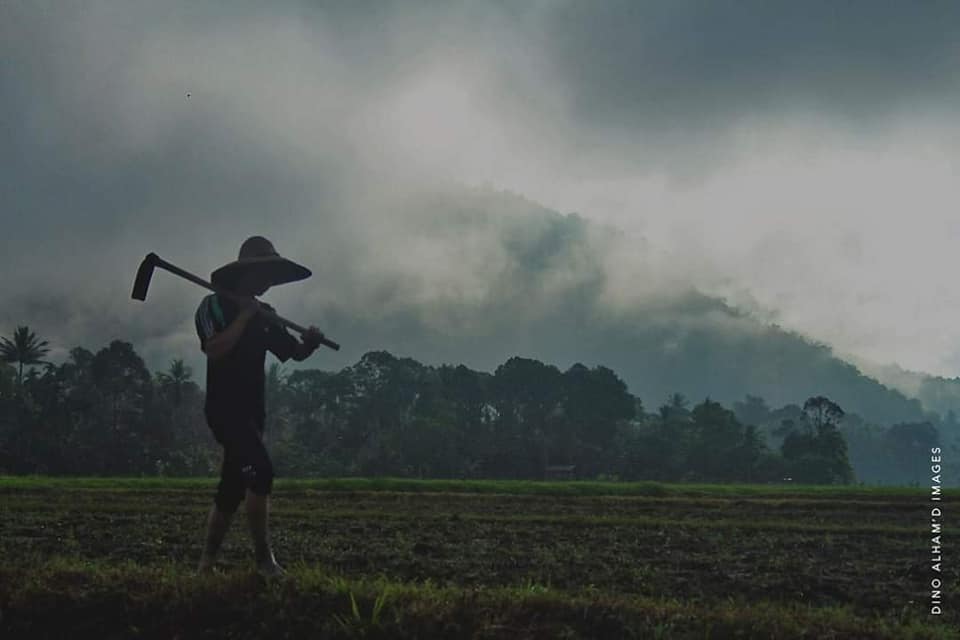 Experience the kampung life