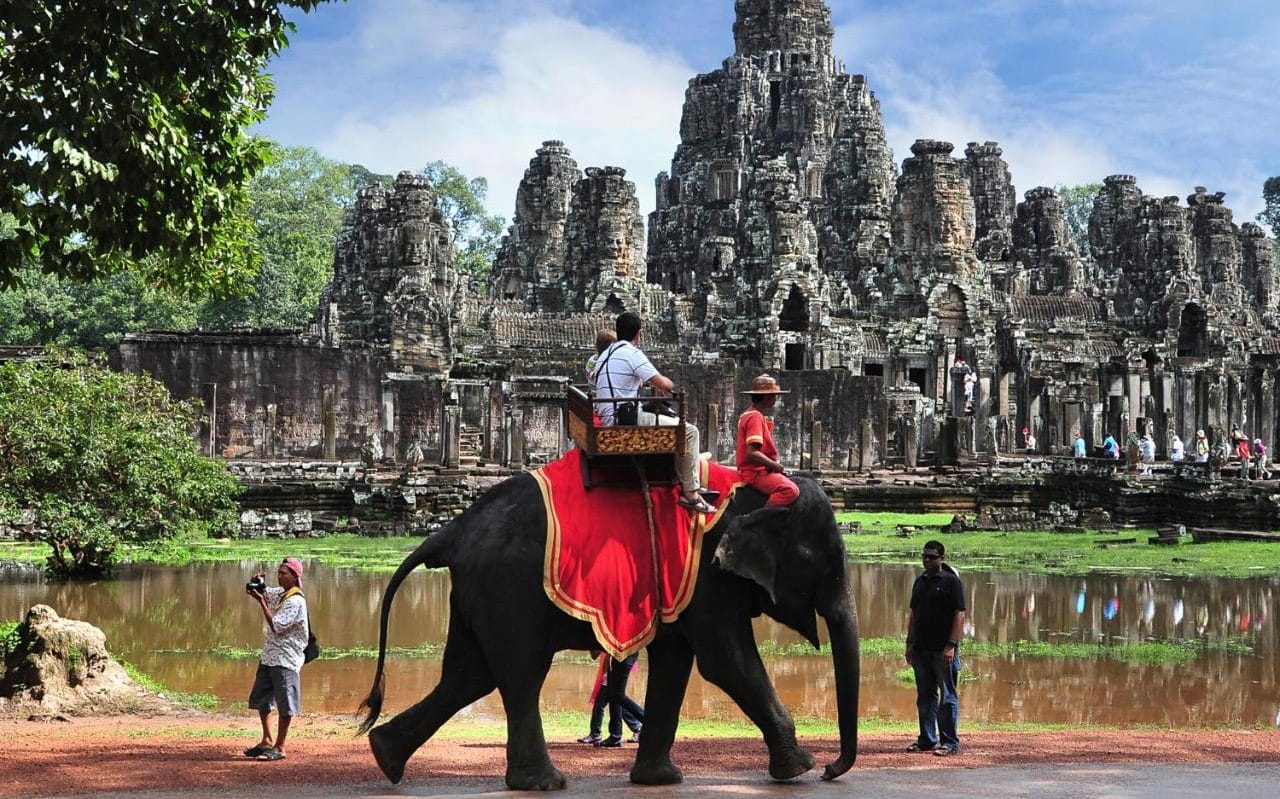 These rides may look insta-worthy, but they're bad for elephants.