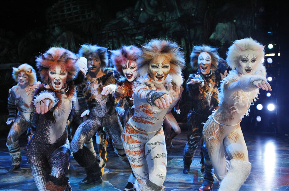 cats-004.jpg