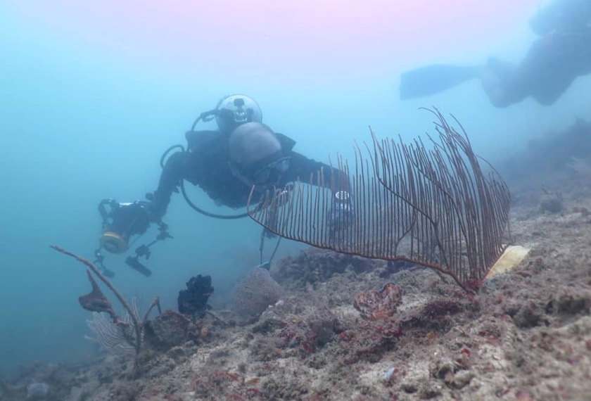 This is how a muck dive site looks like.