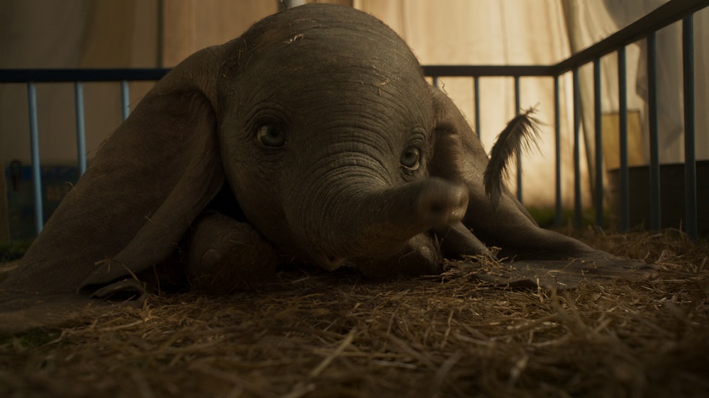 Can we take this Dumbo home?