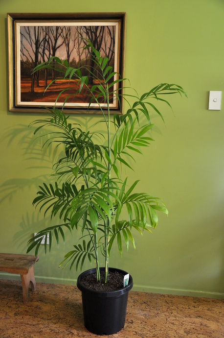 It adds charm to your home