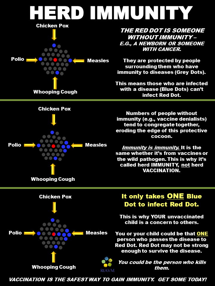 This is how herd immunity works