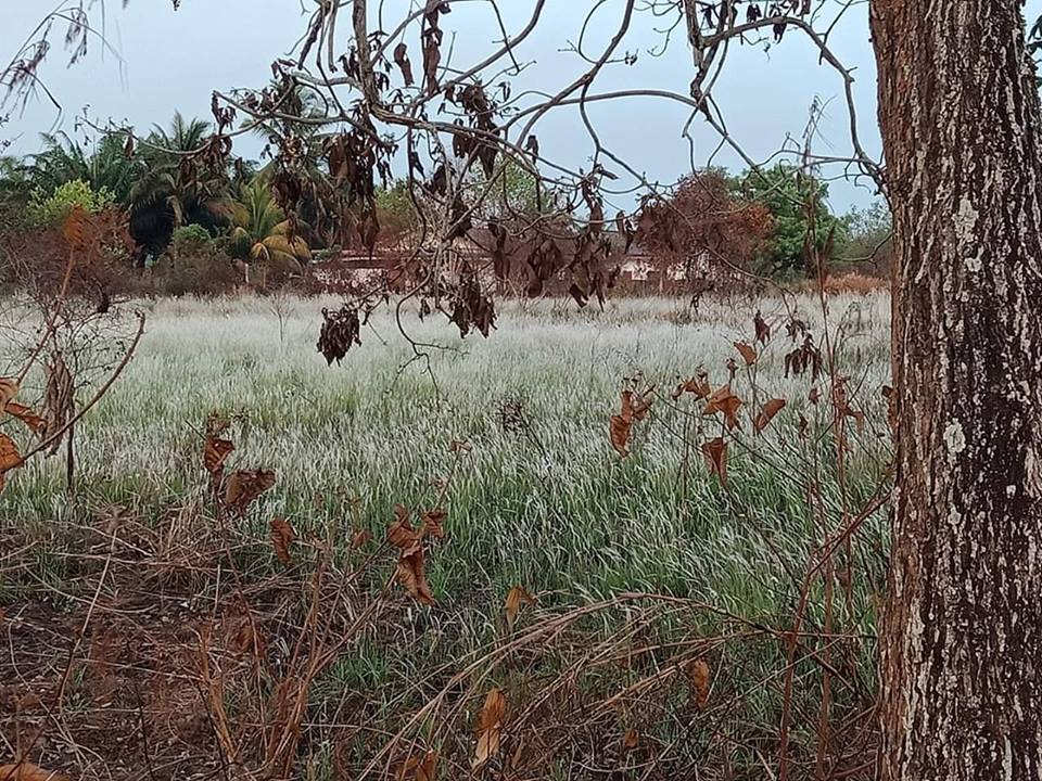 Asalnya merupakan tanah terbiar.