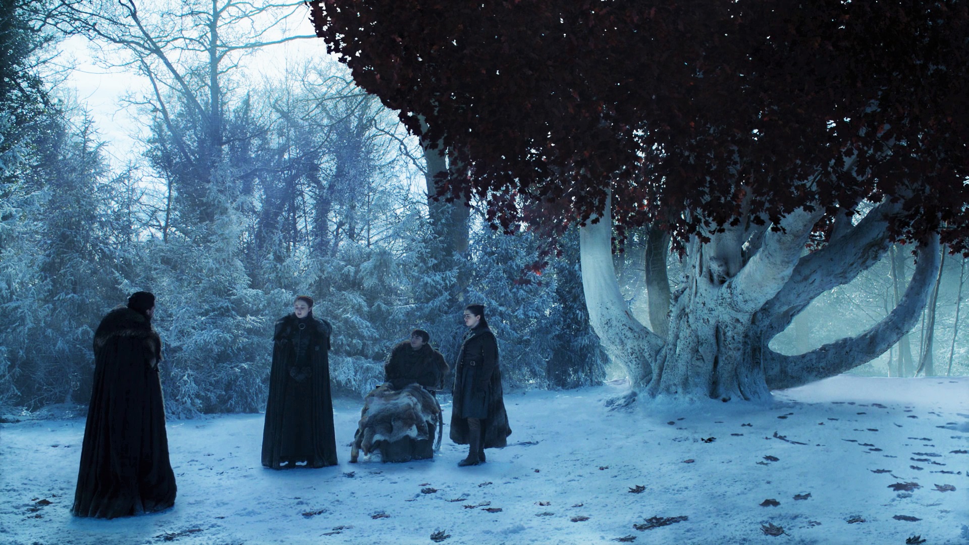 Be a tree and leave, Bran.