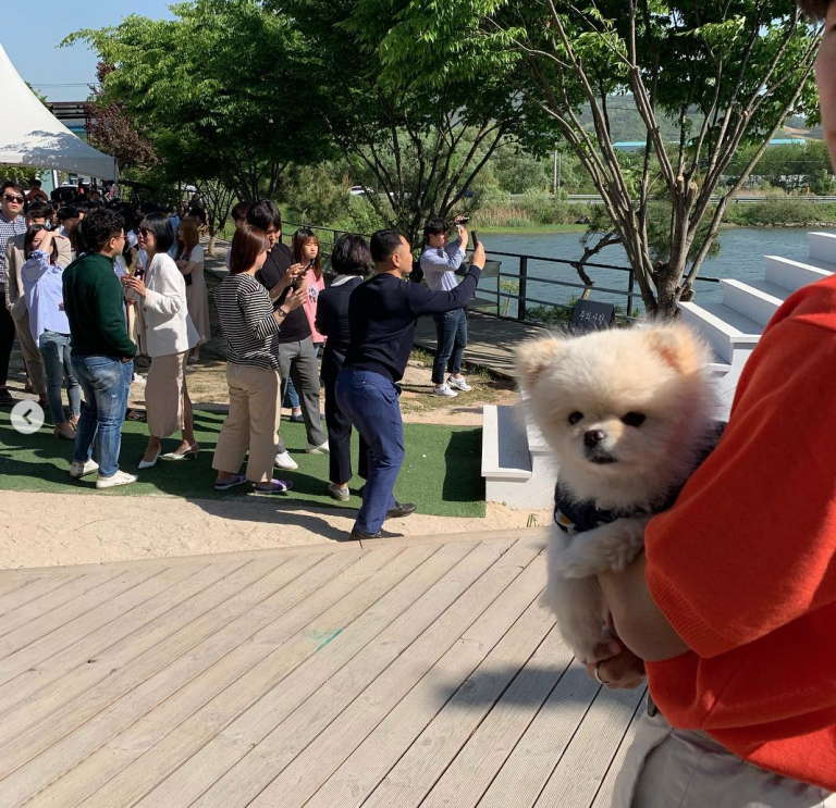 kkums_ / Instagram This little pup caught our attention more.