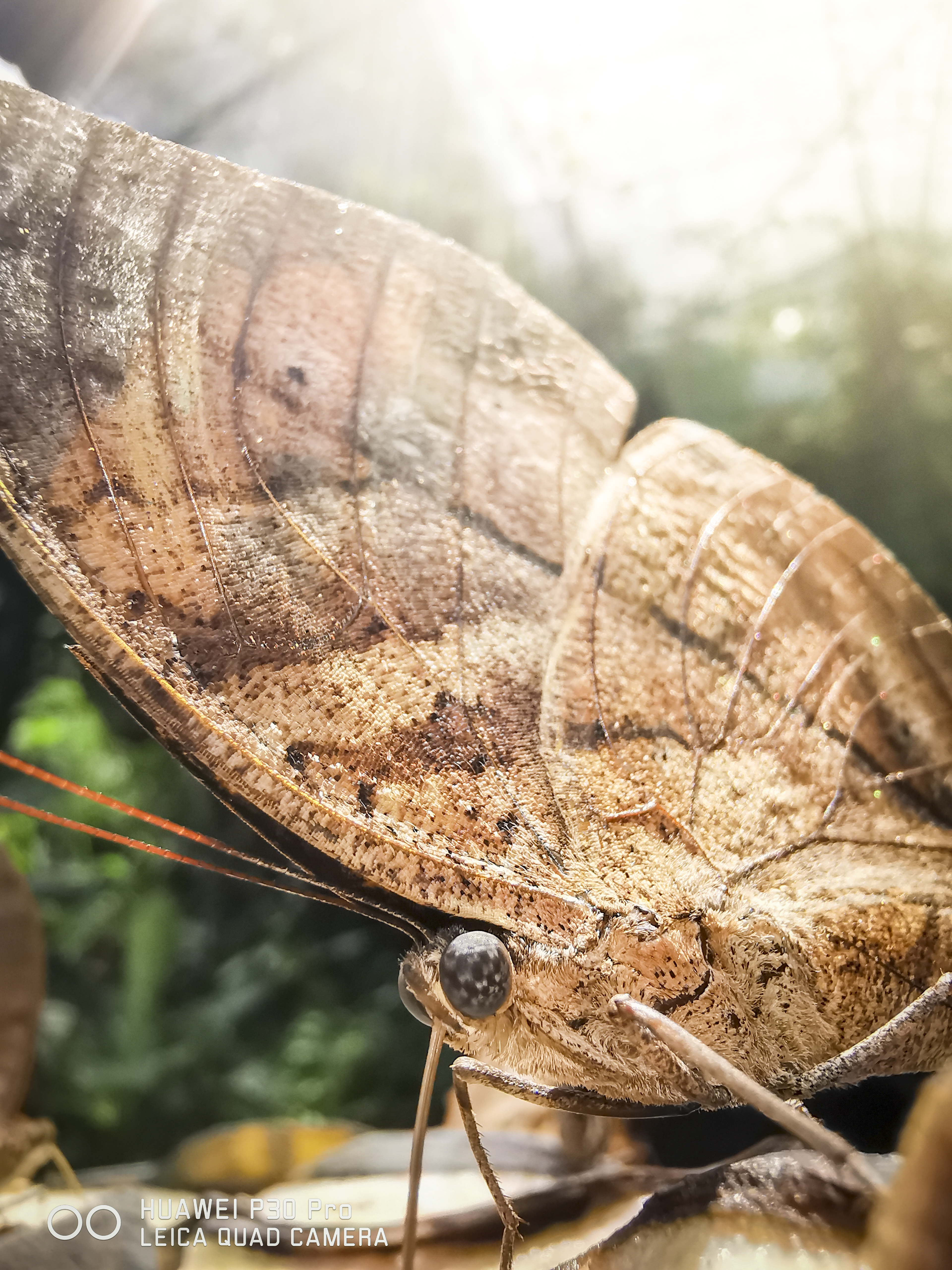 Photo credit: Sanjitpaal Singh