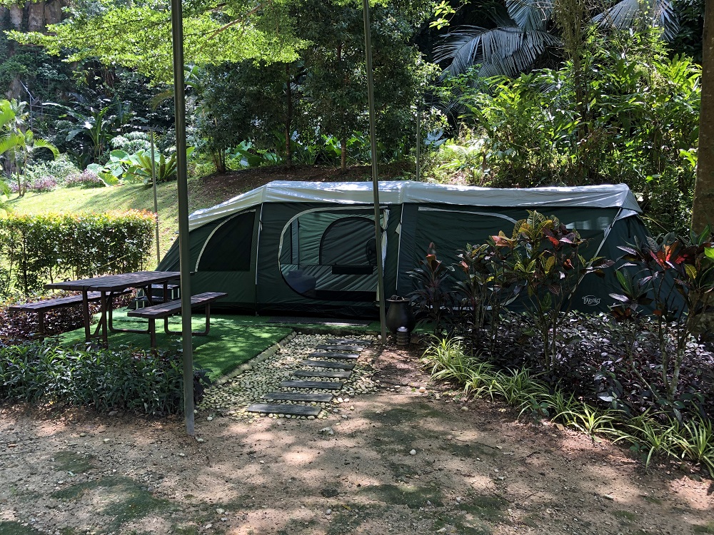 Just looking at all the greenery gives us so much peace.