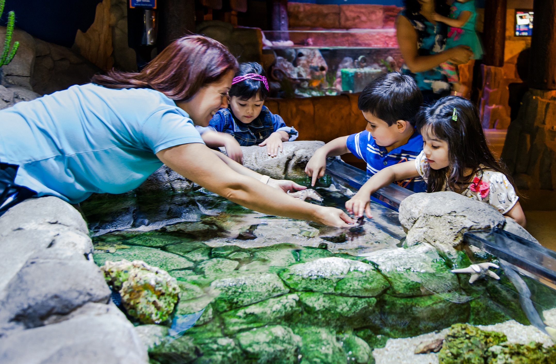 There is an interactive touchpool for your kids to touch and feel.